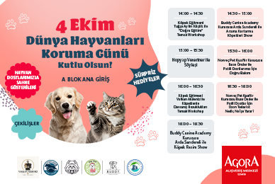 4 Ekim Dünya Hayvanları Korumu Günü Kutlu Olsun!